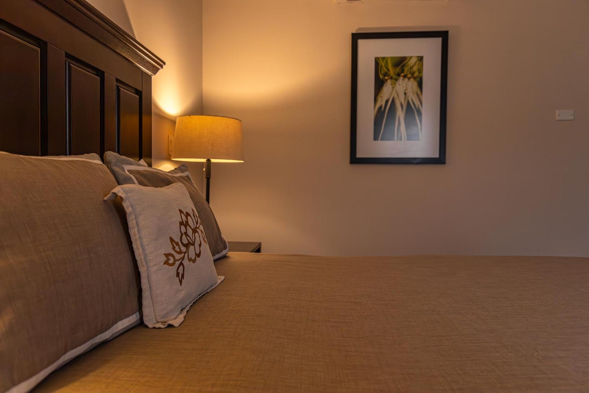 Hotel Cubita Boutique Resort & Spa 치트레 외부 사진
